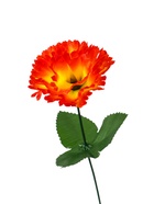 Цветы искусственные "Гвоздика 25 см, оранжевый (20 шт) - фото 809148516