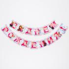 Гирлянда на люверсах «С Днем Рождения!», длина 185 см, Холодное Сердце - Фото 3