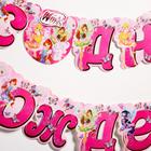 Гирлянда на люверсах «С Днем Рождения!», длина 190 см, WINX - Фото 4