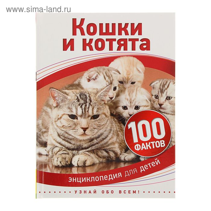 Энциклопедия для детей «Кошки и котята» - Фото 1