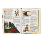 Энциклопедия для детей «Кошки и котята» - Фото 4