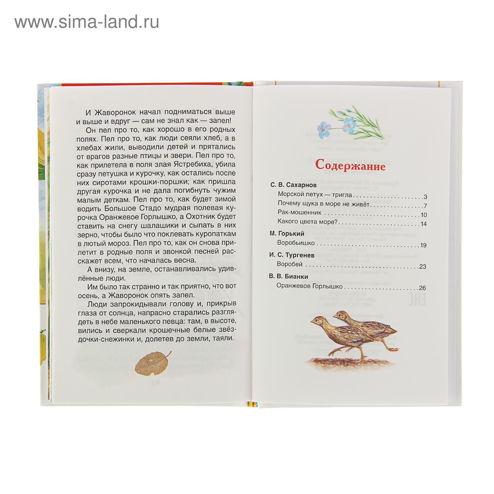Рассказ бианки оранжевое горлышко. Оранжевое горлышко главная мысль и главные герои. "оранжевое горлышко". Рассказ бианки оранжевое горлышко. Оранжевое горлышко мурзук.