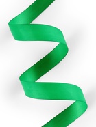 Лента репсовая, 25 мм, 23±1 м, зелёная №19 - Фото 2