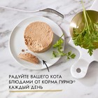 Влажный корм GOURMET GOLD для кошек, паштет индейка, ж/б, 85 г - Фото 4