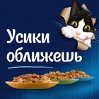 Влажный корм FELIX AGAIL для кошек, курица в желе, пауч, 85 г - Фото 4