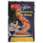 Влажный корм FELIX Sensations для кошек, говядина/томат в желе, пауч, 85 г - Фото 1