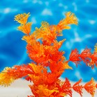 Растение искусственное с распылителем, 14×14×20 см - Фото 2