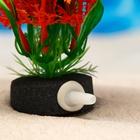 Растение искусственное с распылителем, 14×14×20 см  (артикул 1377334)  большой выбор товаров оптом и в розницу по низким ценам с доставкой