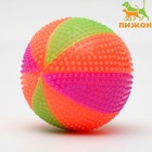 Мячик светящийся для собак "Цирковой", TPR, 6,5 см, микс цветов - Фото 1