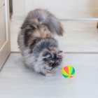 Мячик светящийся для собак "Цирковой", TPR, 6,5 см, микс цветов - Фото 3