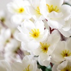 Дерево искусственное «Сакура пышная», h=90 см - Фото 4