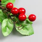 Декор для творчества, веточка с 7-ю ягодками, 20×5 см - Фото 3