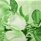 Постельное бельё 2 сп., Орхидея 4139/1 "Коллекционные розы", размер 175х217 см, 175х220 см, 70х70 см - 2 шт., хлопок 125 г/м2 - Фото 2