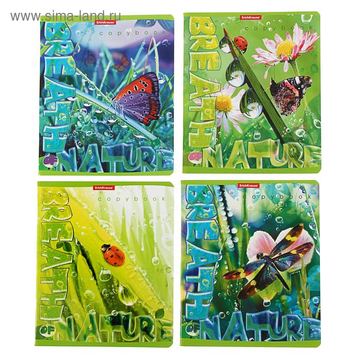 Тетрадь 48 листов линейка "Утренняя зорька", уф-лак, микс, EK 40074 - Фото 1