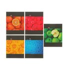 Тетрадь 60 листов клетка Colour, картонная обложка, выборочный лак, 5 видов МИКС - Фото 1