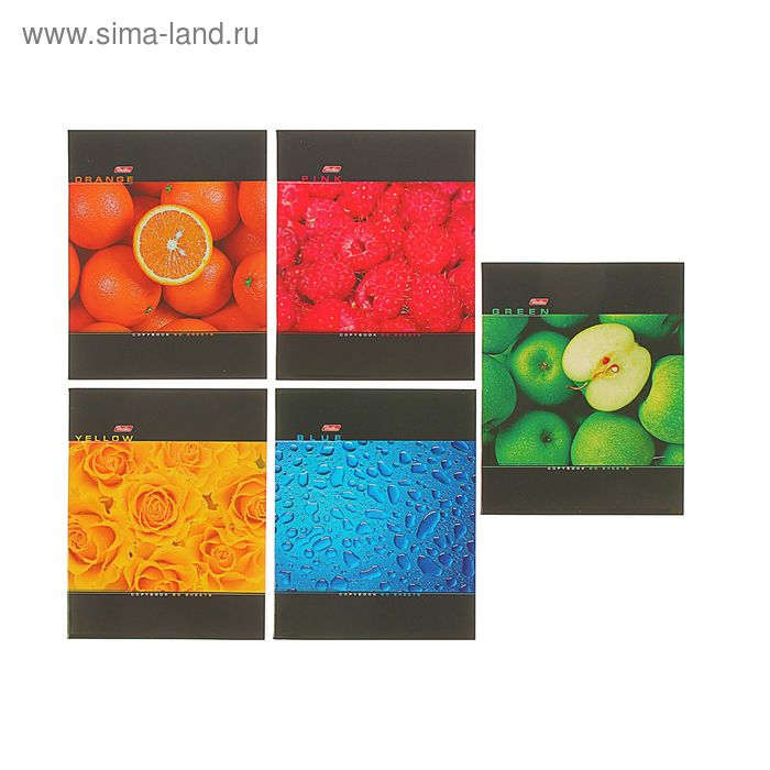 Тетрадь 60 листов клетка Colour, картонная обложка, выборочный лак, 5 видов МИКС - Фото 1