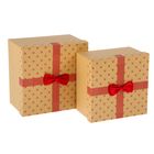Набор коробок 2в1 квадрат "Сердечки" (23*23*14/20,5*20,5*12,5 см), цвет красный - Фото 1