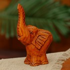 Сувенир дерево "Слонёнок Джамбо" 10х6х4 см - Фото 2