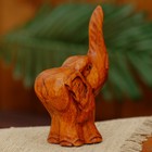 Сувенир «Слонёнок Джамбо», 10×6×4 см, дерево - фото 57912205