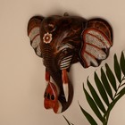 Сувенир дерево "Голова слона" 40 см - Фото 3