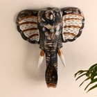Сувенир «Голова слона», 30 см, дерево - Фото 1