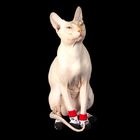 Носки хлопковые нескользящие "Лицо", размер S (2,5/3,5 * 6 см), набор 4 шт - Фото 1