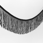 Тесьма декоративная «Бахрома», 10 см, 5 ± 0,5 м, цвет чёрный - фото 8473971