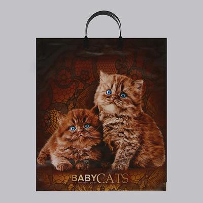 Пакет «Бэбикэтс», полиэтиленовый с пластиковой ручкой, 40×44, 100 мкм