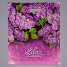 Пакет «Сирень», полиэтиленовый с вырубной ручкой, 45 мкм, 40×47 см - фото 67922760