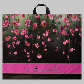 Пакет «Анабель», полиэтиленовый с петлевой ручкой, 60?50 см, 70 мкм (комплект 25 шт)