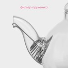 Чайник стеклянный заварочный с металлическим ситом Доляна «Элегия», 600 мл - фото 4557844