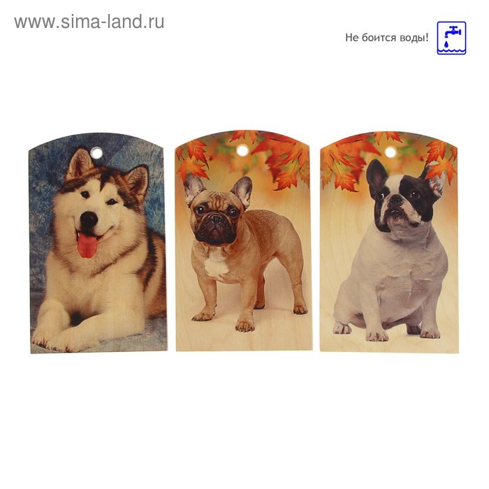 Доска сувенирная фанера "Собаки" 180*300 мм, микс - Фото 1
