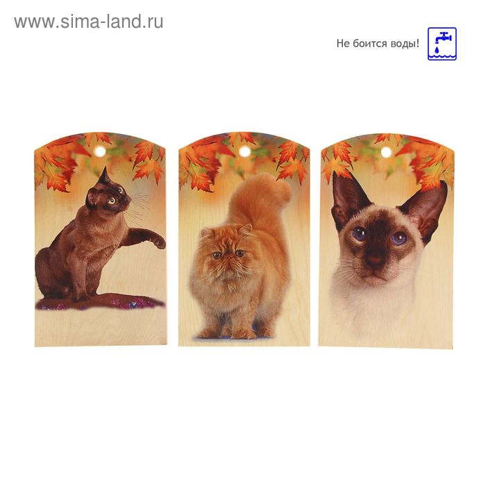 Доска сувенирная фанера "Кошки и кленовые листья" 180*300 мм, микс - Фото 1