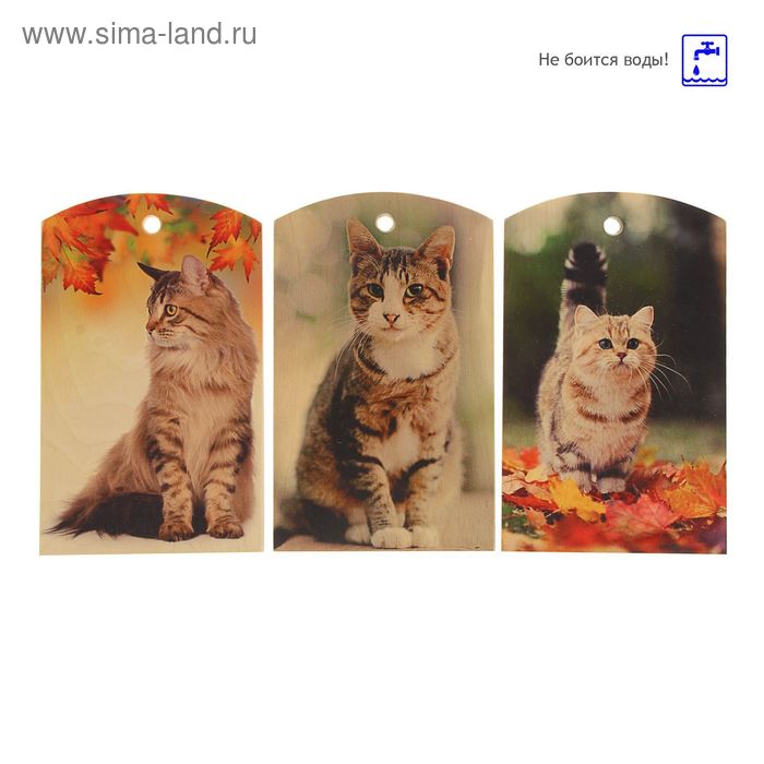 Доска сувенирная фанера "Кошки осенью" 180*300 мм, микс - Фото 1