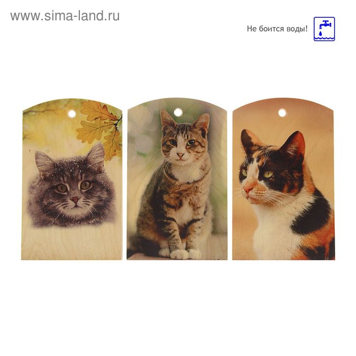 Доска сувенирная фанера "Коты" 180*300 мм, микс - Фото 1