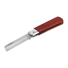 Нож универсальный складной ТУНДРА, деревянная рукоятка, прямое лезвие, нержавеющая сталь - фото 8474353