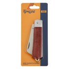 Нож универсальный складной ТУНДРА, деревянная рукоятка, прямое лезвие, нержавеющая сталь - Фото 8