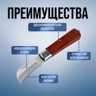 Нож универсальный складной ТУНДРА, деревянная рукоятка, изогнутое лезвие, нержавеющая сталь - Фото 6