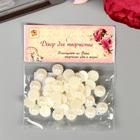 Набор для творчества половинка жемчужины-цветочек, d=1.4 см, 20 г - Фото 4