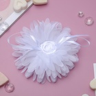 Бант для волос на резинке «Школьница», шлейф, d=10 см, белый - Фото 2