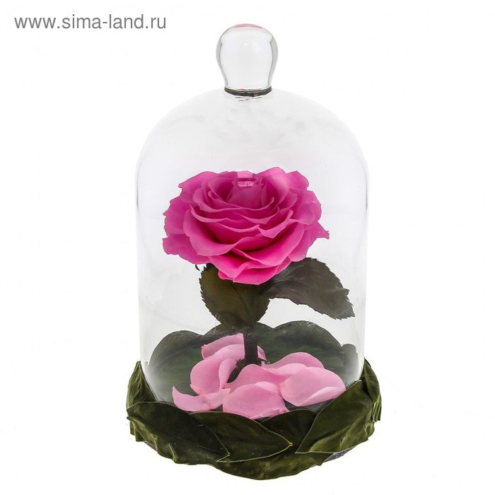 Композиция в вазе "Красавица", роза в куполе розовая, 13 х 13 х 18 см - Фото 1