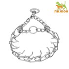 Ошейник - полуудавка строгий, 3 мм х 50 см - Фото 1