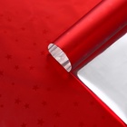 Пленка голография «Звёзды», МИКС, 70×100 см - Фото 4