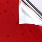 Пленка голография «Звёзды», МИКС, 70×100 см - Фото 3