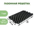 Газонная решётка ERFOLG Green Parking, 40×60 см, чёрная - Фото 1