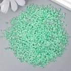 Бисер круглый размер 12/0 «Нежная мята», 20 г - Фото 2