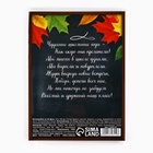 Фотоальбом 36 фото 10×15 см «Школьные годы чудесные», в мягкой обложке - Фото 3