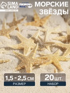 Набор натуральных морских звезд, 1.5 - 2.5 см, 20 шт. - Фото 1