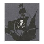 Салфетки бумажные "Пиратский корабль" (набор 20 шт) 33*33 см - Фото 1