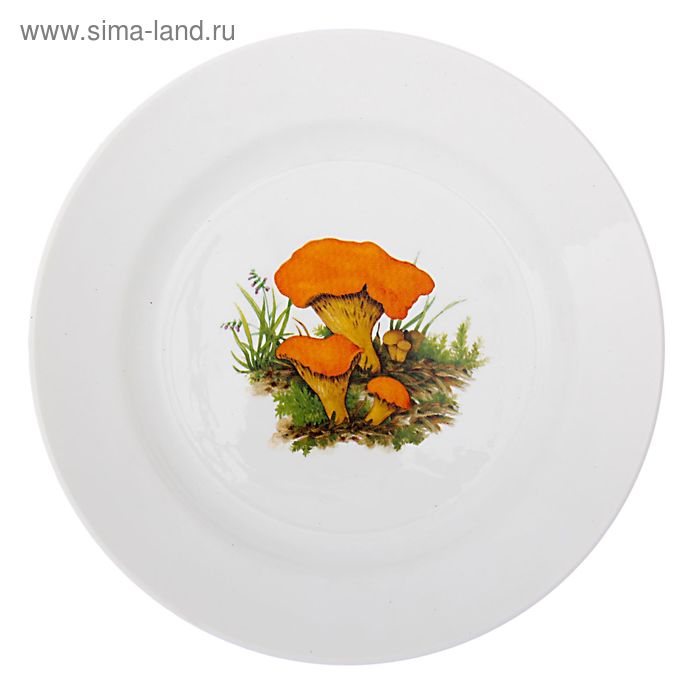коллекция грибов. грибочки на тарелке. тарелка мелкая 200 мм дулево. тарелка грибы. тарелка с мухоморами.